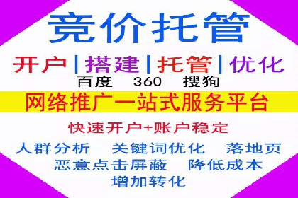 竞价推广中的数据监控与分析：某行业头部企业的成功经验
